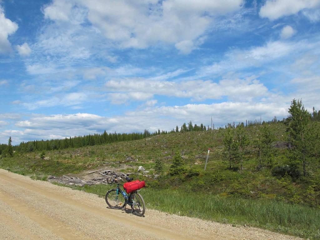 Wildact Adventure Ab Guest House Storberg Eksteriør bilde